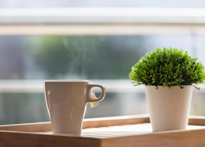 Duplex Tranquilo Cerca De La Playa, 2 Terrazas, Estacionamiento Gratuito - Es-279-16 * ギア・デ・イソラ